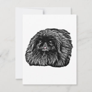 Pekingese Stationery - leere Karte "Fuzz"
