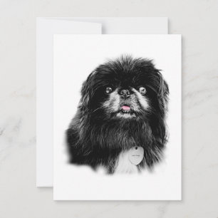 Pekingese Stationery - leere Karte "Mork"