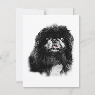 Pekingese Stationery - leere Karte "Mork"