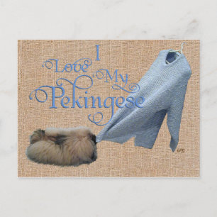 Pekingese Tauziehen Postkarte