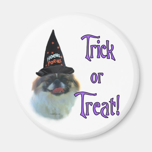Pekingese Trick Magnet (Vorne)