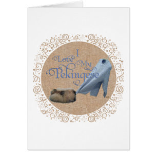 Pekingese Tug-O-Krieg