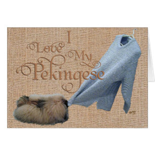 Pekingese Tug-O-Krieg