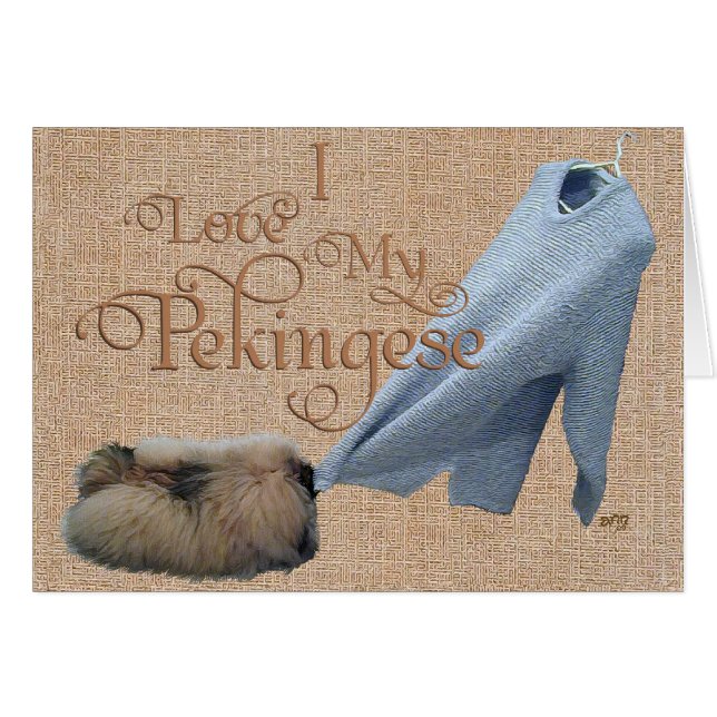 Pekingese Tug-O-Krieg (Vorderseite (Horizontal))