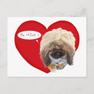 Pekingese Valentinstag Feiertagspostkarte