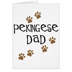 Pekingese Vater