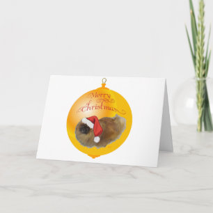 Pekingese Weihnachten