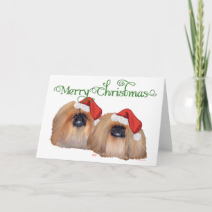 Pekingese Weihnachten
