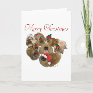 Pekingese-Weihnachtsgruppe Feiertagskarte