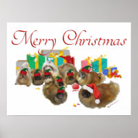 Pekingese Weihnachtsmischief