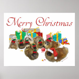 Pekingese Weihnachtsmischief Poster