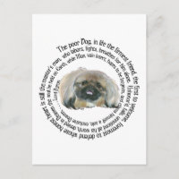 Pekingese Weisheit - und Lord Byrons Klage