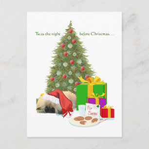 Pekingese Welpe 1. Weihnachten
