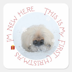 Pekingese-Welpe erstes Weihnachten Quadratischer Aufkleber