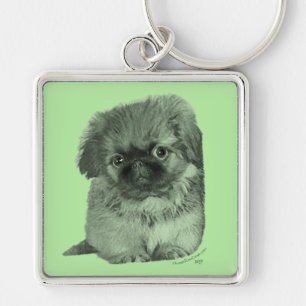 Pekingese Welpe Grün Schlüsselanhänger