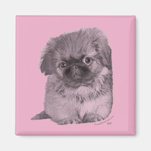 Pekingese Welpe in Pink Magnet (Vorne)