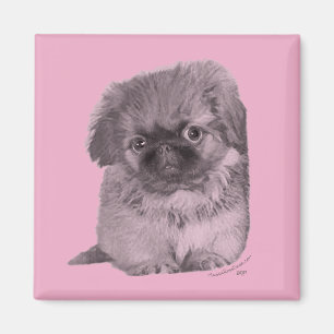 Pekingese-Welpe in Rosa Magnet