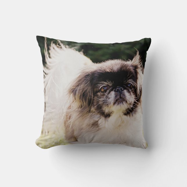 Pekingese Wurfs-Kissen Kissen (Vorderseite)