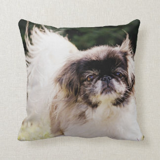 Pekingese Wurfs-Kissen Kissen