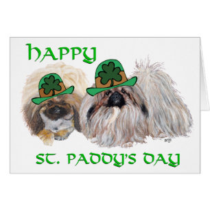 Pekingeser feiern St. Patrick's Day