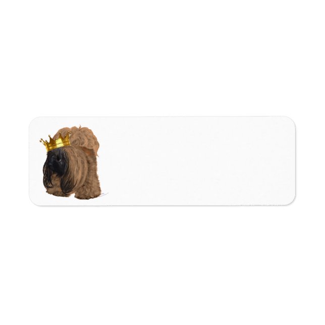 Pekingeser Fröhliche Gedanken (Vorne)