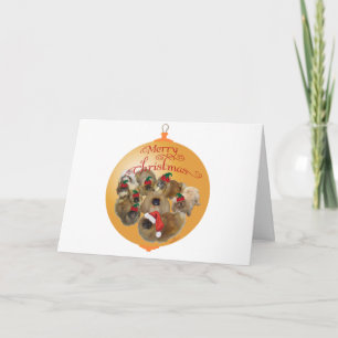 Pekingeser Gruppenornament Feiertagskarte