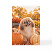 Pekingeser Herbst-Grußkarte
