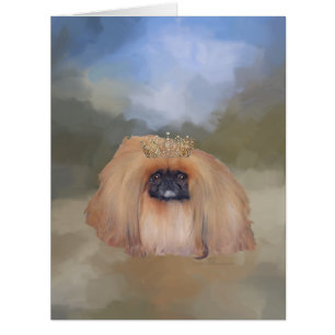 Pekingeser Königlich