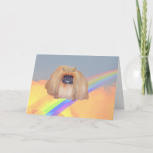 Pekingeser Regenbogen Karte