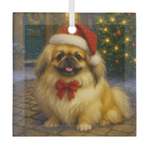 Pekingeser Urlaub 