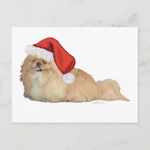 Pekingeser Weihnachtsmann Feiertagspostkarte
