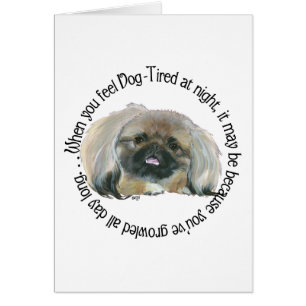 Pekingeser Weisheit - Hundemüde?