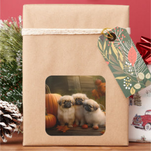 Pekingeser Welpe Autumn Delight Pumpkin Quadratischer Aufkleber