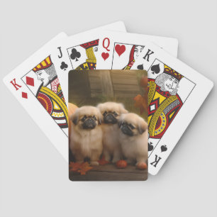 Pekingeser Welpe Autumn Delight Pumpkin Spielkarten