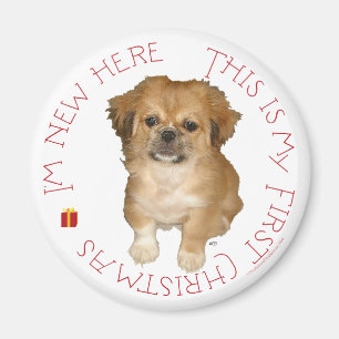 Pekingeser Welpe erstes Weihnachten Magnet