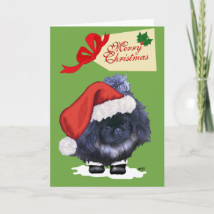Pekingeser Welpe Weihnachten