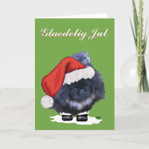 Pekingeser Welpe Weihnachten