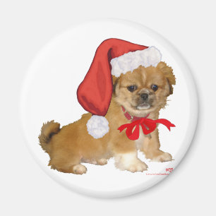 Pekingeser Welpe Weihnachten Magnet