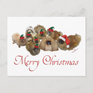 Pekingesgruppe Weihnachten