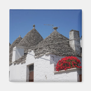 Pelargonie-Blumen und trulli Häuser in Alberobello Magnet