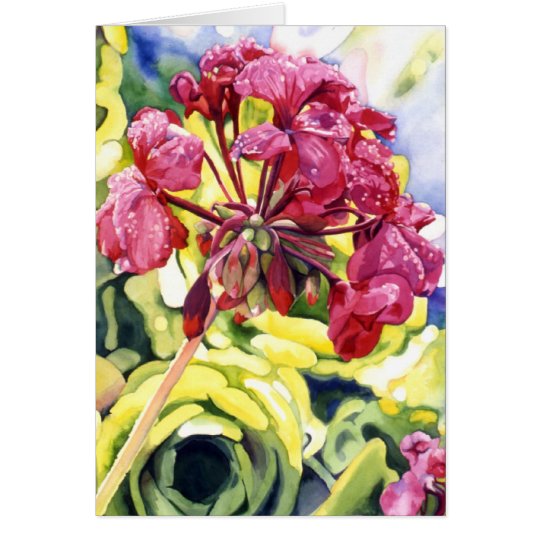 Pelargonie Karte
