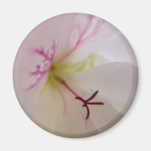 Pelargonie-Mittelmagnet Magnet