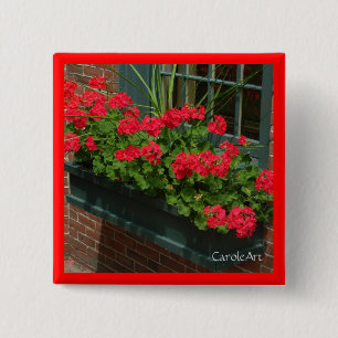 Pelargonie-roter grüner Blumenkasten Button
