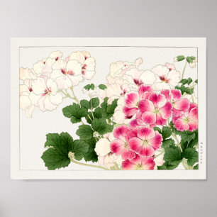Pelargonium von Tanigami Konan Poster