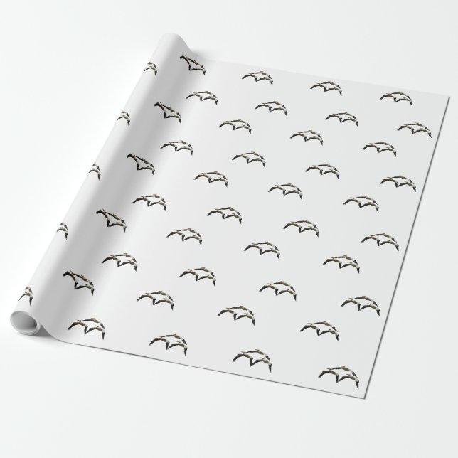 Pelican 2 geschenkpapier (Ungerollt)