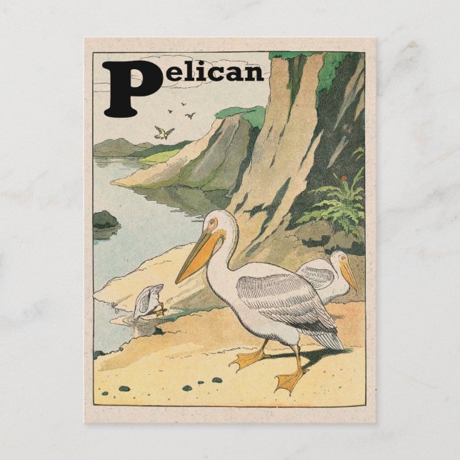 Pelican Alphabet Postkarte (Vorderseite)