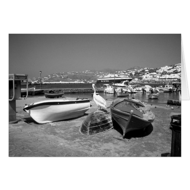 Pelican and Boats (BandW) (Devant horizontal)