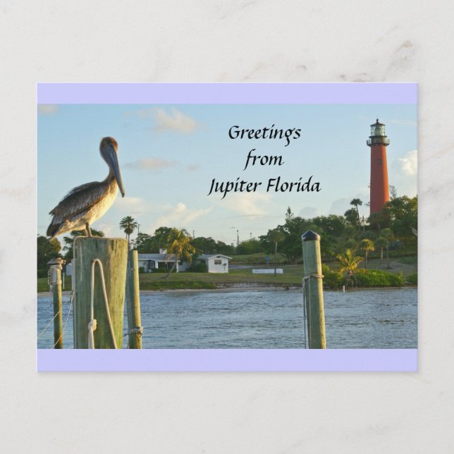 Pelican and Lighthouse Postkarte (Vorderseite)