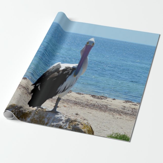 Pélican Avec "Look", Papier Cadeau (Déroulé)