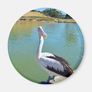 Pelican Back Chat, Kühlschrankmagnet